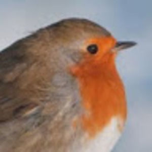 Meet your Posher, Anne